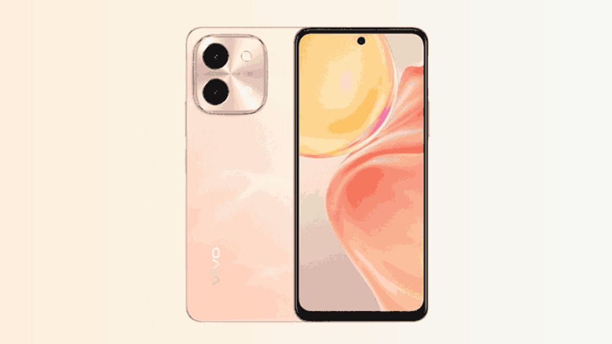 موبايل Vivo Y29