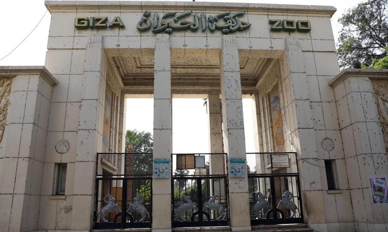 حديقة الحيوان بالجيزة