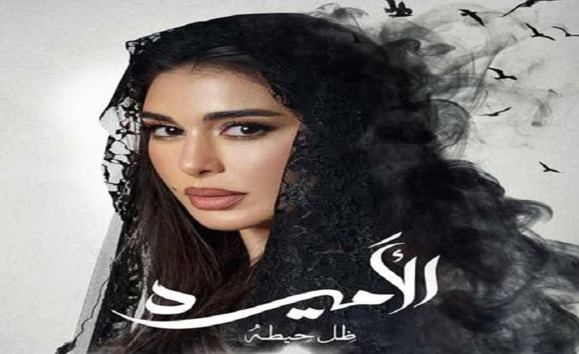 مفاجأة في الحلقة الخامسة من مسلسل الأميرة ظل حيطة.. ماذا حدث بالماركت؟