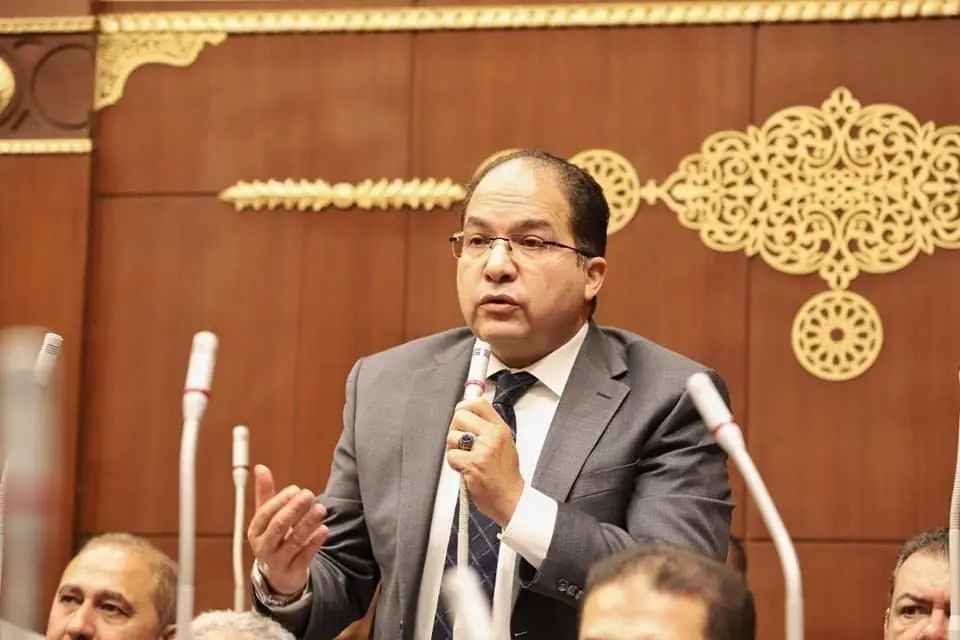 النائب عادل اللمعي