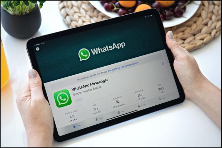 تطبيق واتساب يصل إلى أبل iPad بعد طول انتظار.. أدوات تحكم جديدة