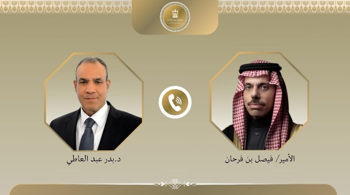 وزير الخارجية المصري ونظيره السعودي