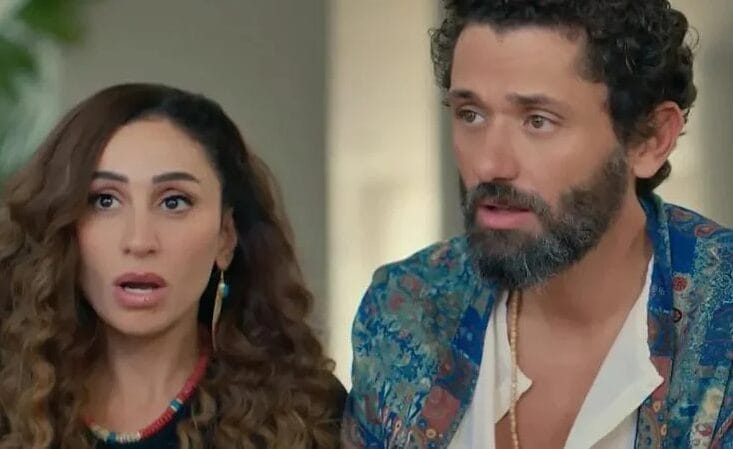 كريم محمود عبدالعزيز ودينا الشربيني