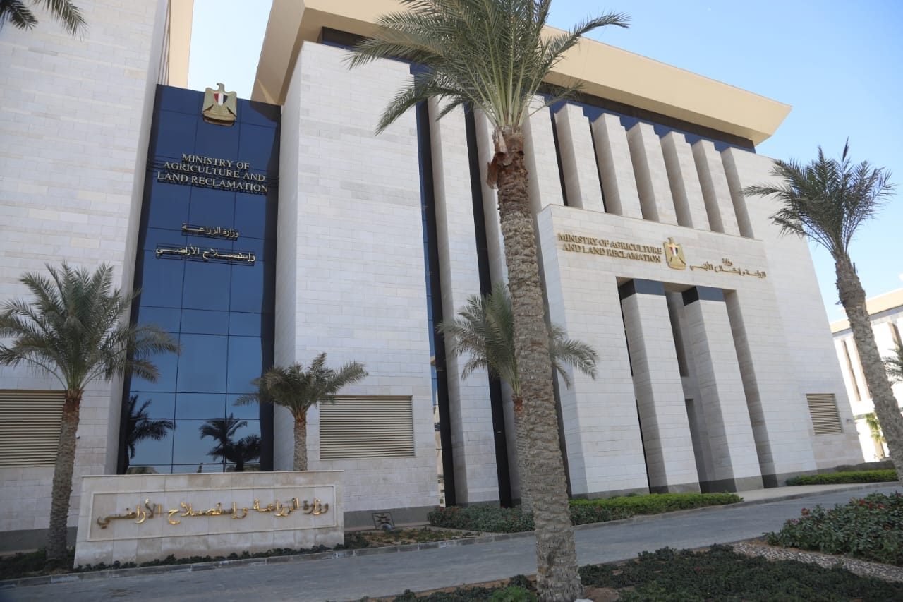 الزراعة تعلق على مزاعم استيراد دواجن غير مذبوحة طبقا للشريعة الإسلامية