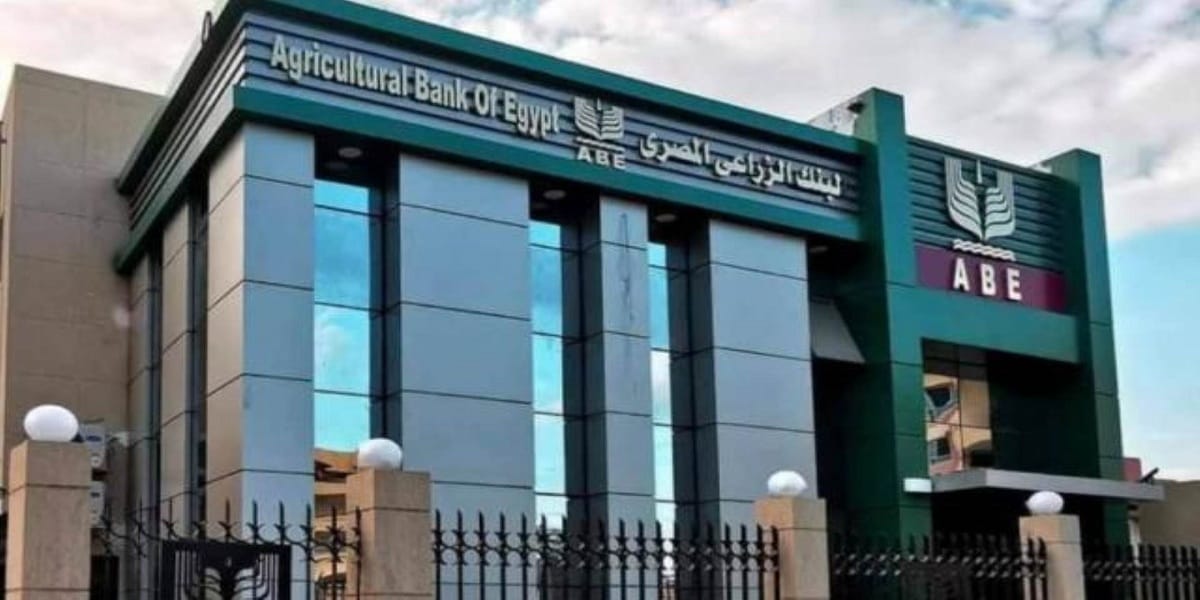  البنك الزراعي المصري يتسلم 464 ألف طن قمح بقيمة 7.2 مليار جنيه خلال شهر من بداية موسم التوريد