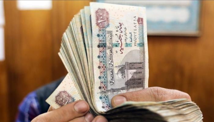 الاستعلام عن المعاش بالرقم القومي.. خطوات معرفة مستحقاتك وبيانات ملفك إلكترونيا